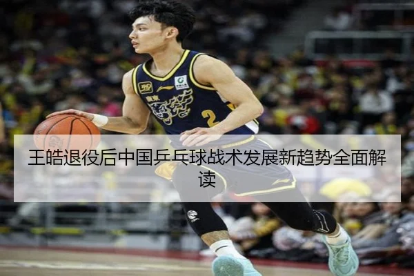 王皓退役后中国乒乓球战术发展新趋势全面解读