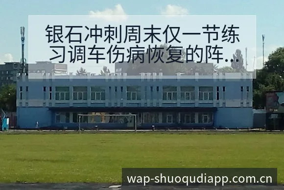 银石冲刺周末仅一节练习调车伤病恢复的阵容影响 - 说球帝
